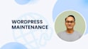 maintain and fix issues on your wordpress website