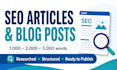 write SEO articles and blog posts for your website