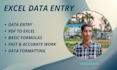 do accurate data entry and microsoft excel work