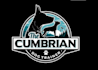 design amazing dog training logo