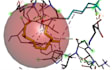 do molecular docking and phylogenetic analysis