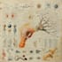 do scientific illustrations diagram and figures