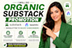 do organic substack promotion, substack newsletter, beehive increase subscribers