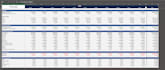 build a professional excel financial model