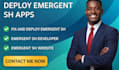 deploy emergent sh apps emergent sh error, develop emergent sh app, durable ai