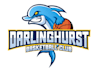 do amazing wonderful dolphin logo with express delivery