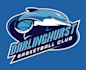 do awesome attractive dolphin logo with express delivery