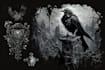 create dark art, metal, gothic illustration