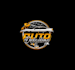 create high quality and beautiful auto detailing  logo design