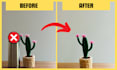 remove unwanted objects from photos professionally