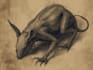 illustrate dark art animal illustration