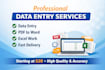 provide professional data entry and excel services