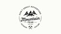 create an awesome mountain logo with express delivery