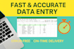 provide fast and reliable data entry services