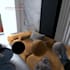 develop a virtual reality VR game and interactive experience
