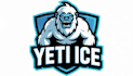 make amazing yeti ice logo with new creative concepts