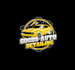 create high quality and beautiful auto detailing logo design