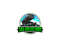 create wonderful and excellent dump trailer logo design