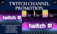 professionally promote and grow your twitch channel