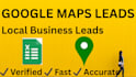 collect targeted local business leads from google maps
