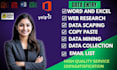 do web scraping, data mining and data entry professionally