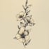design a custom botanical logo
