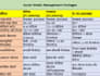 monthly mis reports with sales forecasts