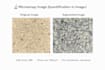 analyze microscopy images in imagej