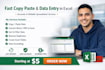do your professional exel data entry and copy paste expert