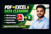convert PDF to excel and do professional data cleaning as an excel expert
