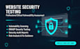 professional website security testing and pentesting