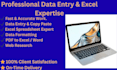 data entry copy paste and excel work accurately in 1 day