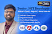 develop, fix or optimize web API, angular azure application