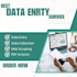 be your professional data entry and google sheets expert