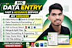 data entry, data cleaning and pdf to excel conversion