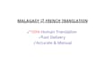 translate malagasy and french professionally