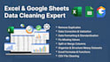provide expert data cleaning and preprocessing services