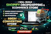 build shopify dropshipping website, cruxie audit, ecommerce store