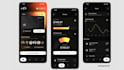develop fintech app banking app blockchain banking mobile banking custom banking