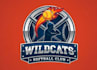 make attractive and imagination softball logo design
