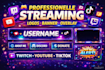 professionelle streaming logo, banner, overlay