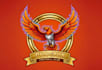 make creative and good looking phoenix logo design