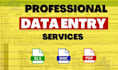 do fast and accurate data entry, copy paste and typing work