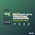 set up whatsapp API and marketing automation