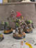 paint your warhammer army