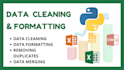 professionally clean and format your data
