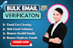 do bulk email verification or validation and email cleaning