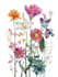 illustrate best botanical illustration