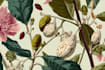 make a marvelous botanical flowers illustration