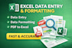 do expert ms excel data entry and data formatting cleanup